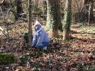 Kaye Titerence Kaye Titerence