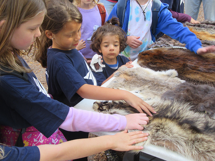 youngsters_loved_feeling_the_animal_pelts_and_had_many_questions_for_Jonathan_Molineaux-2-700.jpg