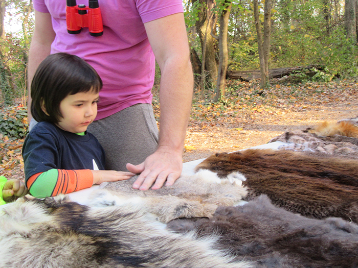 youngsters_loved_feeling_the_animal_pelts_and_had_many_questions_for_Jonathan_Molineaux-3-700.jpg